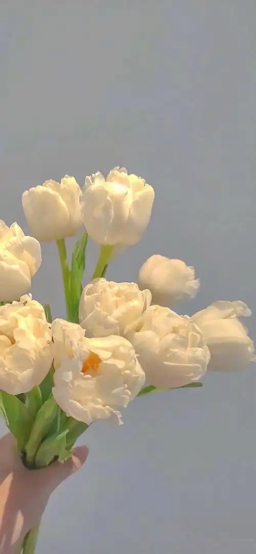 超级干净的背景图