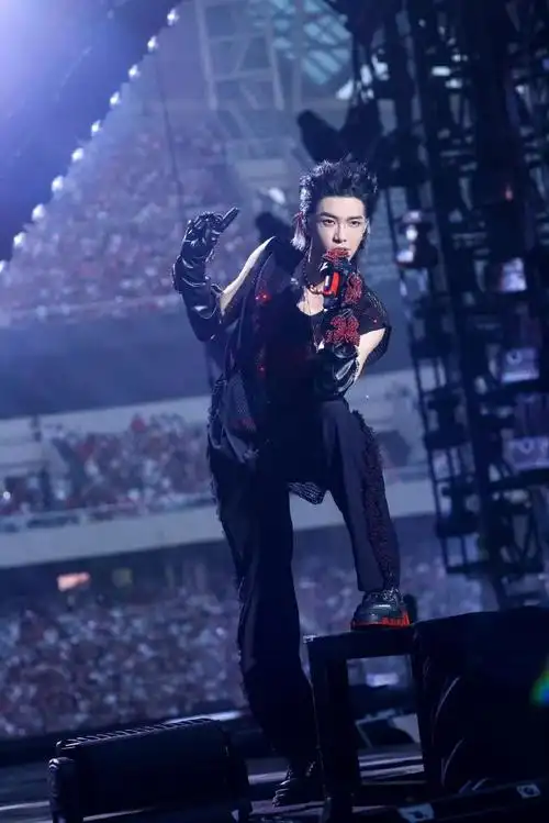 华晨宇演唱会隐藏细节