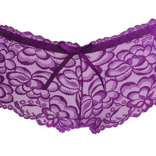 新侣 性感优雅 超诱惑透视内裤(1508-紫色 m码)