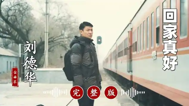 刘德华的《回家真好》|华语歌手|音乐盘点|流行音乐|伤感歌曲|国语