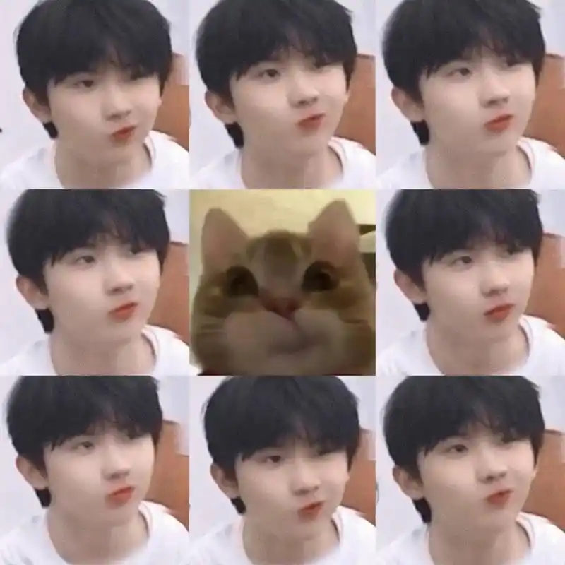 马嘉祺 | 歪嘴小茄 笨笨小猪