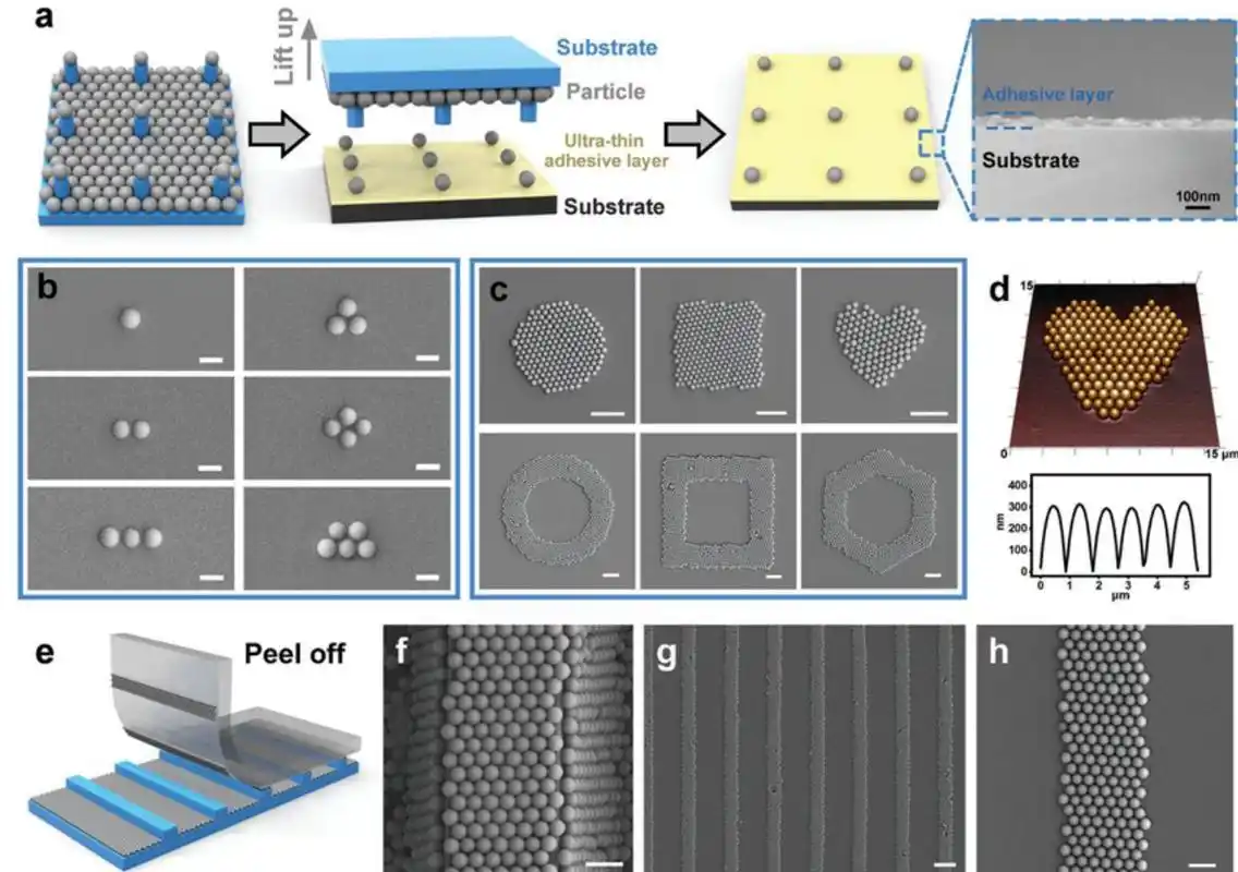 清华大学机械系汪家道课题组在自组装微纳制造领域取得重要进展