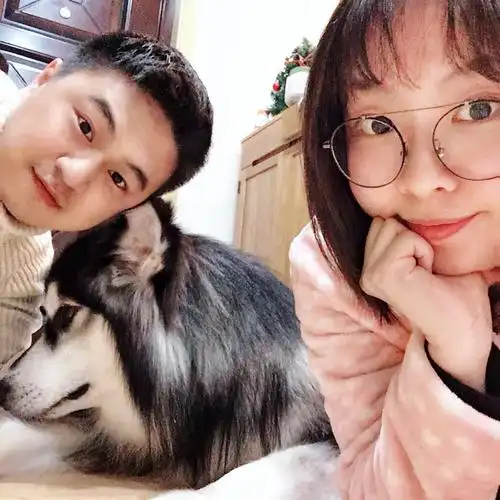 有多少人养狗遭到公公婆婆反对的