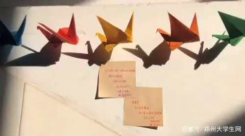 河南一高校学生自发叠千纸鹤送考研同学 大家感到很温暖