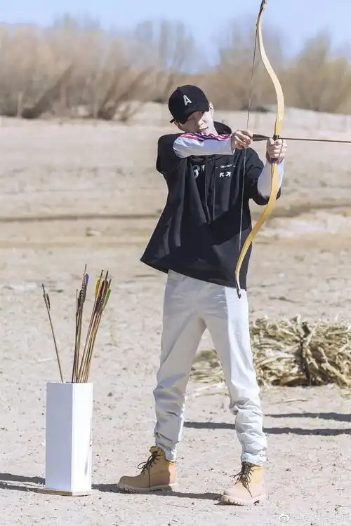 其实我觉得丞哥射箭比较贴的是这张