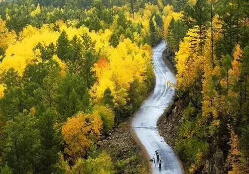 一路向北的美丽