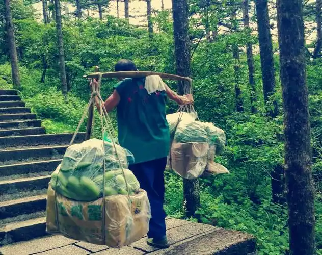 他的肩膀上挑着两个沉甸甸的蔬菜担子,左手拄着一根齐身高的手杖,右手