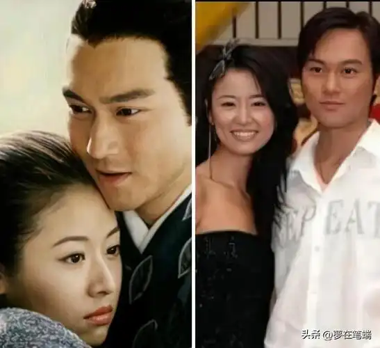 电视剧紫藤恋剧情介绍(终于明白林志颖和林心如当年为何分手了,她拍戏