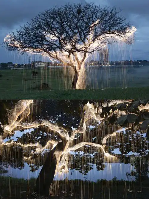 像《阿凡达》里的神树,流淌着生命的能量.