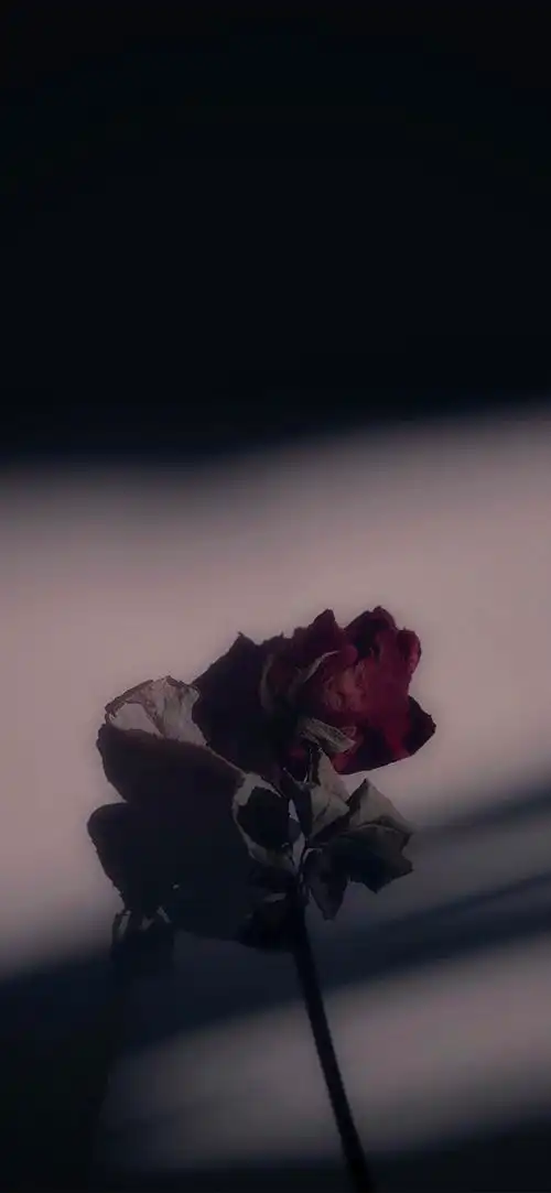 求暗黑系暗色黑白灰深蓝深紫的手机壁纸