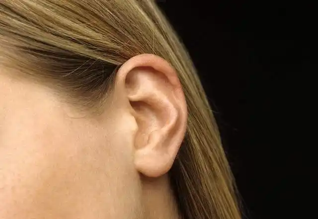 没有耳垂但命又好的人