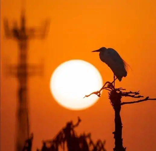 让心归于平静的哲理说说,句句入骨,过目不忘!