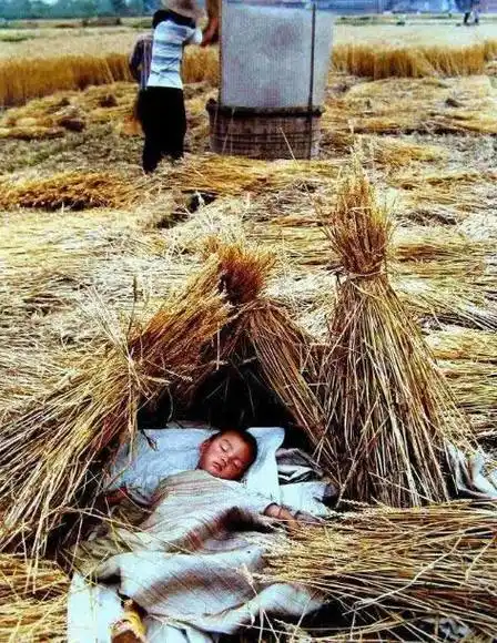 80后农村童年回忆:80年代的农村样子回忆童年图片