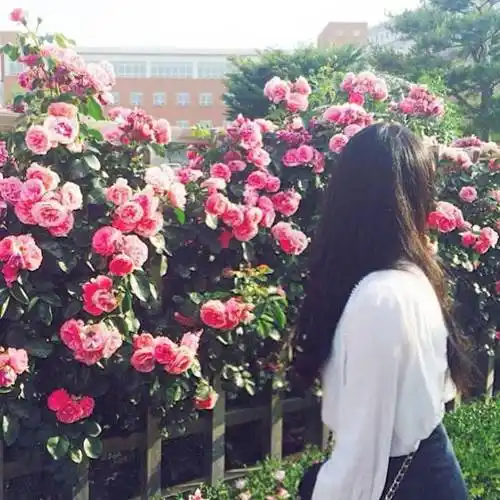 拿图留赞,谢谢!