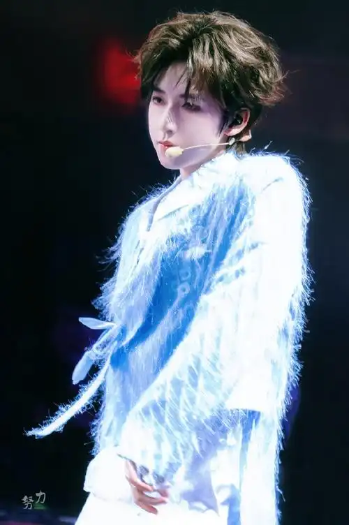 时代少年团演唱会##贺峻霖 二十弈梦鸿鹄万里