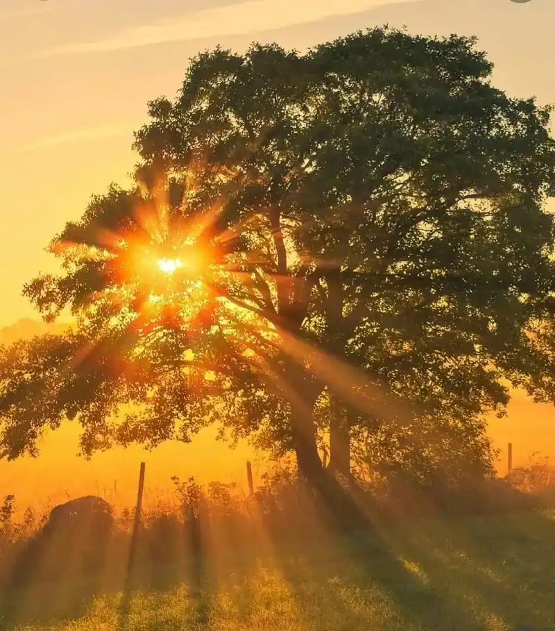 感受大自然的气息和美景 #治愈系风景 岁月无声,时光匆匆, - 抖音