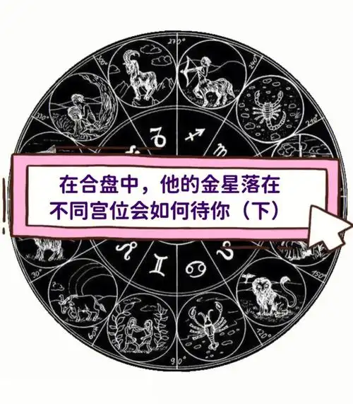 在合盘中,他的金星落在不同宫位会如何待你