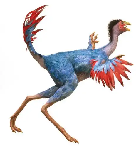 恐龙为什么要吃石头