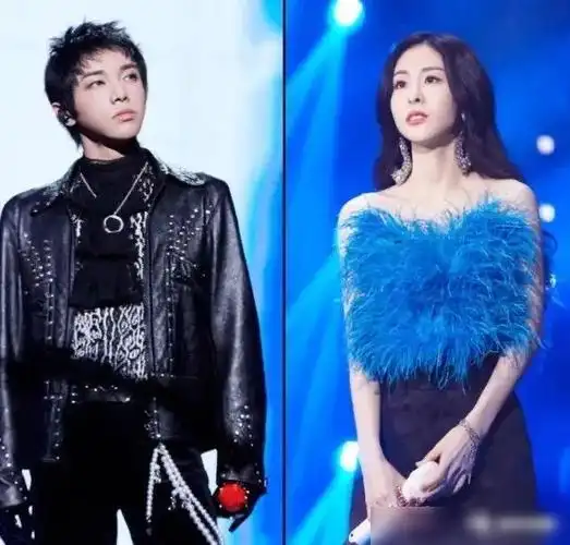 华晨宇还有一个孩子?|张碧晨|贾玲|邓紫棋|萧亚轩|欧阳娜娜_网易订阅