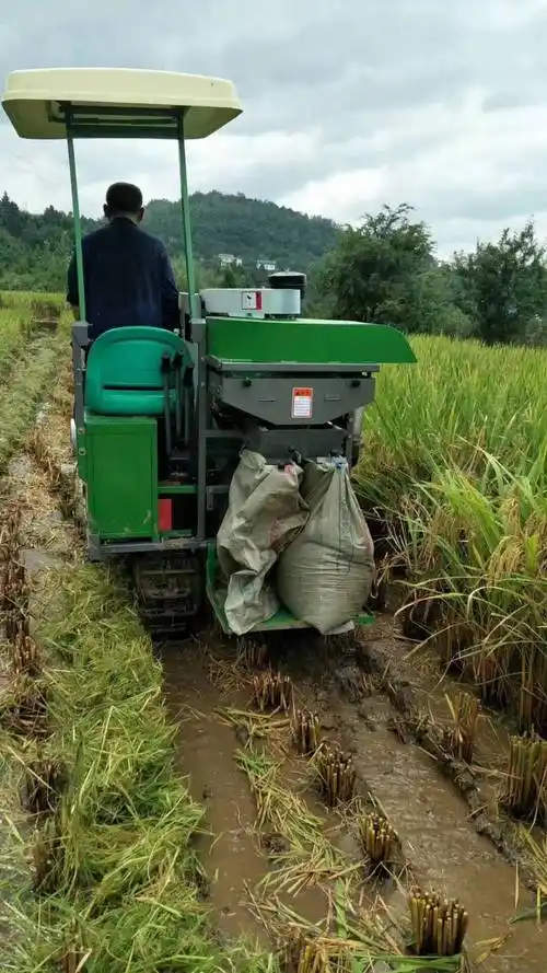 25马力水稻收割机小型履带小麦联合收割脱粒一体机12米收割宽度