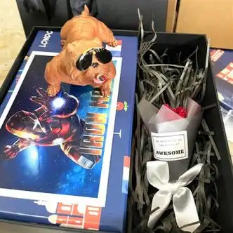 阿尤布父节创意新奇男友生日礼物送男生男朋友男孩实用特别毕业升级