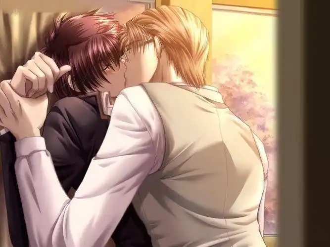 同志喜剧爱情来电显示gayboyversion哥哥弟弟爱生活