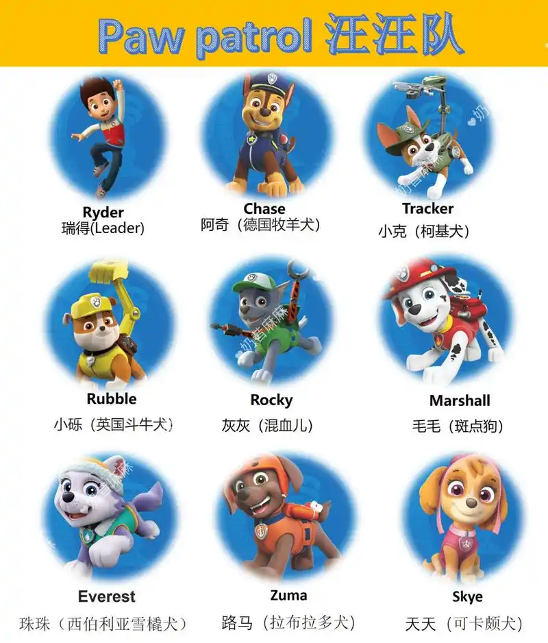 汪汪队英语启蒙 paw patrol 汪汪队 汪汪队一共有八个成员: 	 marshal