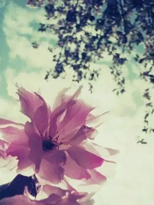 中国最美的十首现代诗,美入骨髓,一生至少要读一次