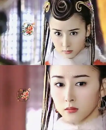 胡静演过的电视剧