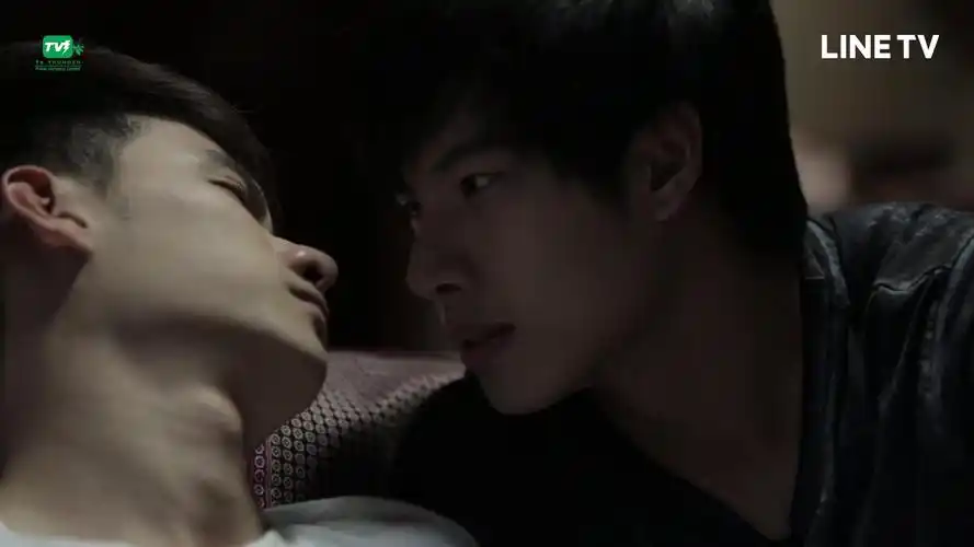 电视剧   电视剧相关