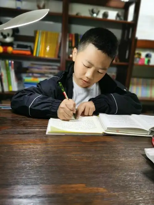 你埋头写起作业来,屋里静悄悄的,只听到笔在纸上沙沙写字的声音.