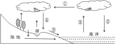 4.下列实现着图中①的功能的是( )5.在水循环的各个环节中,南水北调