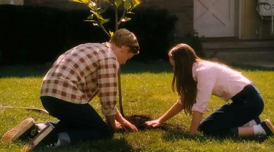 青春题材电影《怦然心动》告诉你什么是美国爱情_哔哩哔哩 (゜-゜)つ