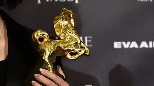 金马奖颁奖典礼回忆,张曼玉拒绝给章子怡颁奖,黄渤高情商反击_刘德华