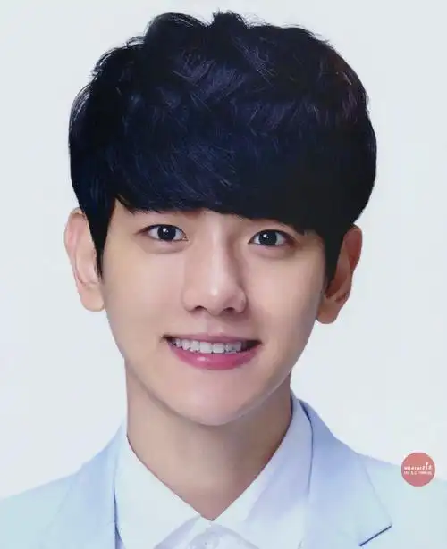 边伯贤证件照快拿去打印吧