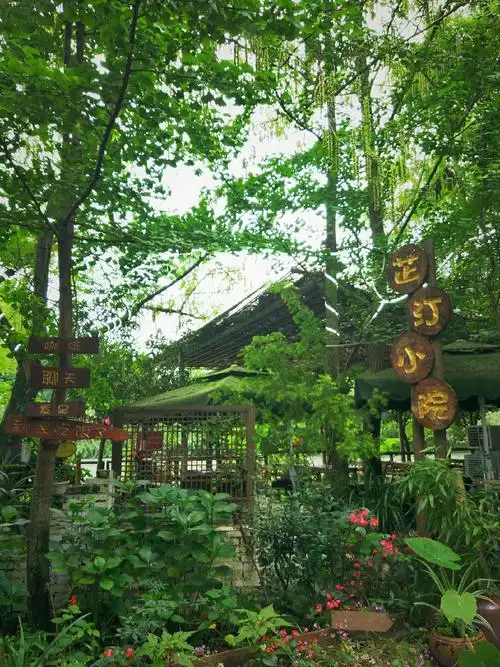 浓夏时光.醉心清宁