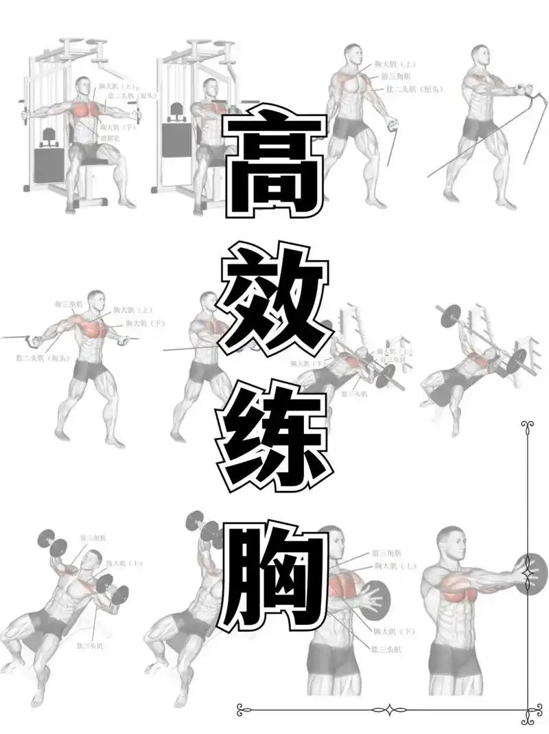 不再做肌肉控,【高效】练出性感胸肌.一,选择合适的动作 推荐 - 抖音