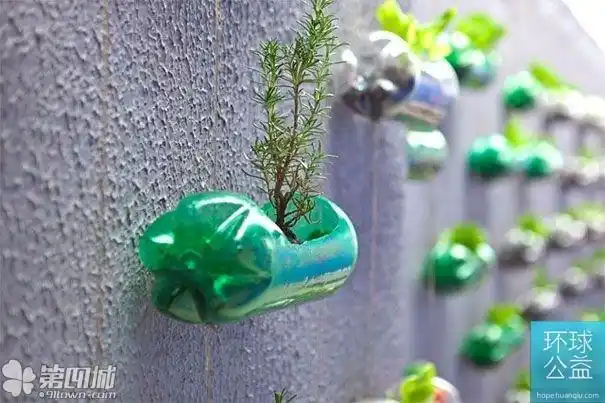 用创意改变生活——废旧物品也可以华丽丽的小清新