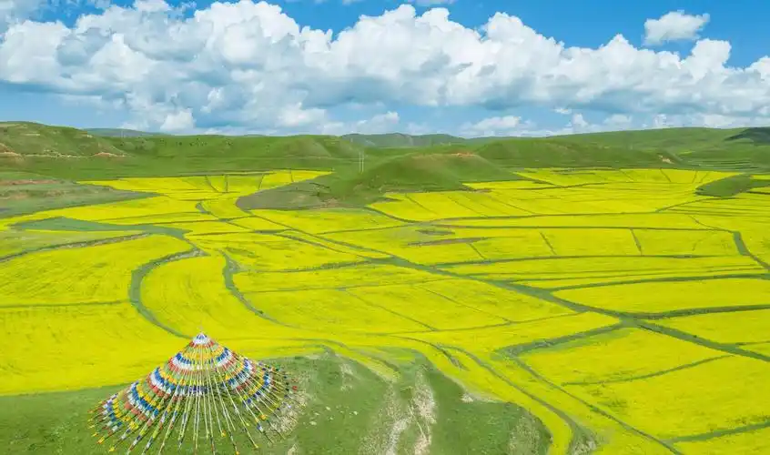 甘肃避暑"天堂秘境",美仁大草原,带你领略高山草甸的壮丽景色