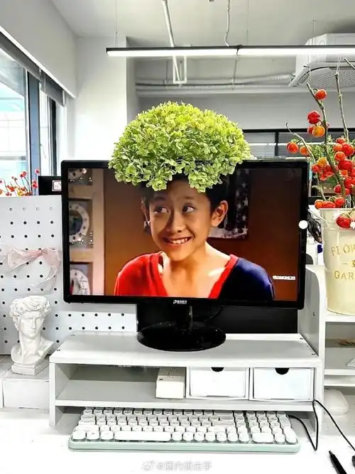 刘星没想到头发是这样绿的吧