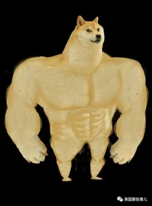 强壮的doge,精神污染doge,食物doge,深藏功与名的doge,就成了今天这个