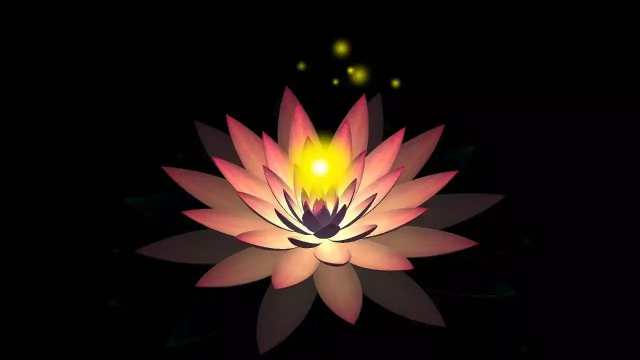 清晨听一曲莲语的呢喃静心清心安心