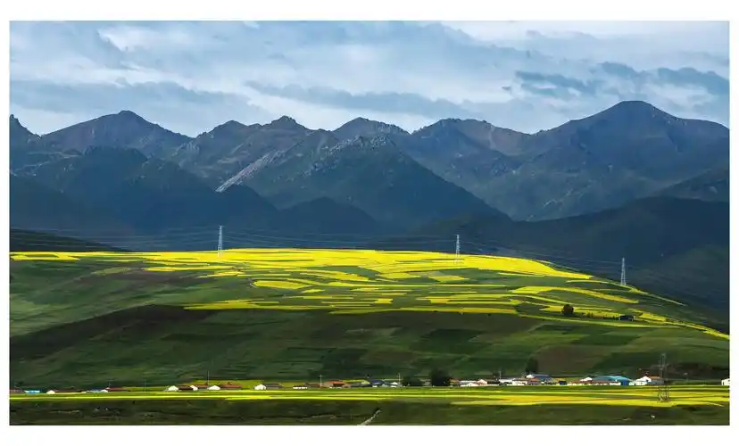 青海行摄影选(一)《田园花海画意风光27幅》