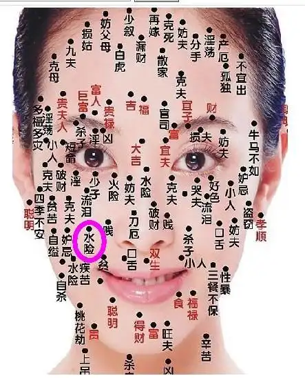 水险是什么意思?