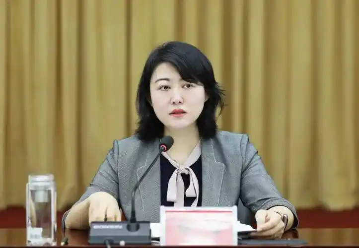 8月3日,邢台市任泽区召开全区经济工作推进会议,区委书记杨蕾出席会议