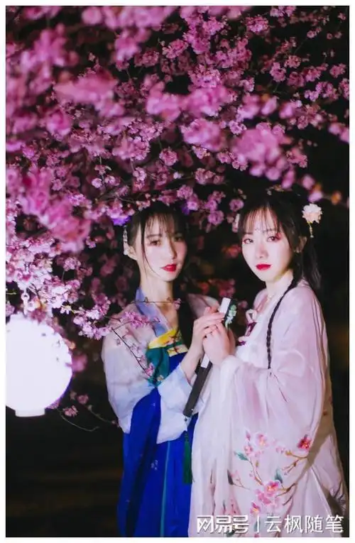 女婿:你敢埋,我就敢刨|陈伟|相亲|老狗|外乡人|我们一家人_网易订阅