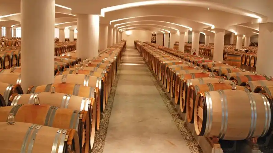 拉拉贡,践行有机种植的三级名庄_红酒世界网图片预览