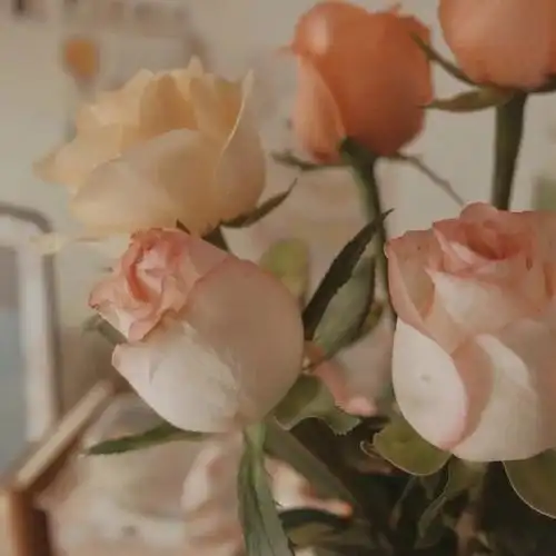 超好看的背景图676767