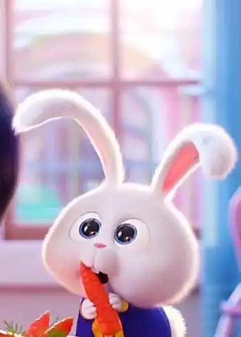 爱宠大机密,奶凶奶凶的小兔子,可爱至极