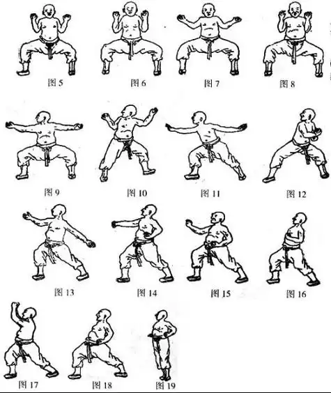 武当密传五形功